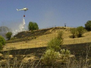Incendio monte