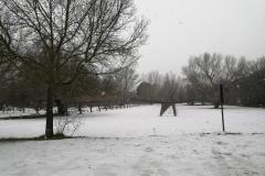 IMG_20210108_130435-Copy