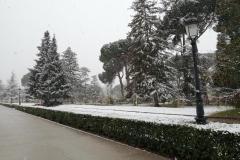 IMG_20210108_131925-Copy