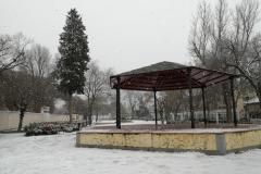 IMG_20210108_132517-Copy