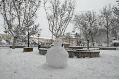 IMG_20210109_124125-Copy