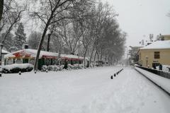 IMG_20210109_124248-Copy