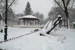 IMG_20210109_124353-Copy