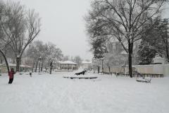 IMG_20210109_124938-Copy