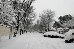 IMG_20210109_125524-Copy