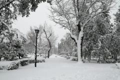 IMG_20210109_130832-Copy