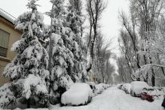 IMG_20210109_132144-Copy