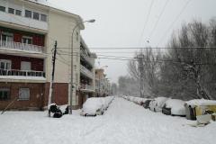 IMG_20210109_133232-Copy