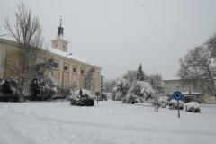 IMG_20210109_133446-Copy