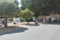 XCertamenPinturaRápidaElPardo2